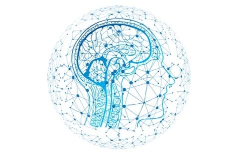 actuary brain