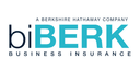 biBerk Insurance Services